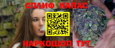 крисы Будённовск