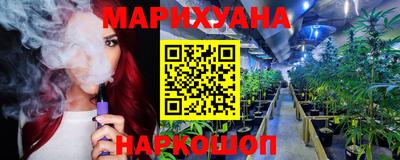 крисы Будённовск