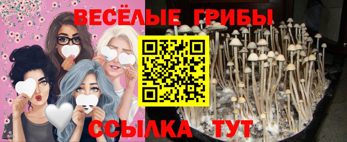 Галлюциногенные грибы мицелий  Вход с VPN  Псилоцибиновые грибы мицелий  Людиново 